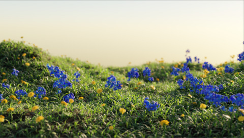 Flower Scattering