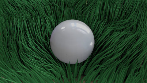 Ball in grass