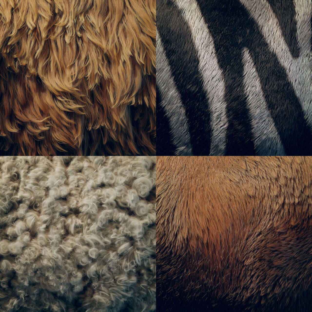 Animal Fur Examples by Simon Thommes