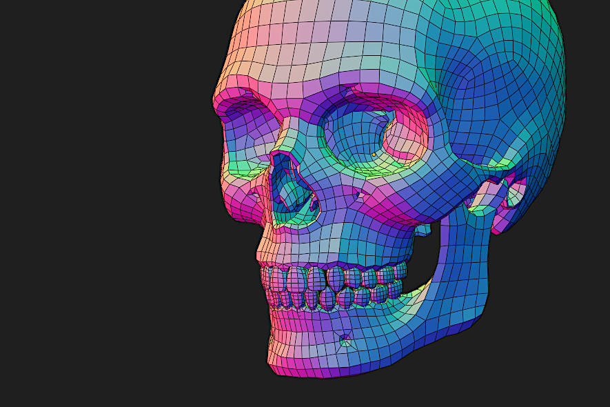 Human skull.