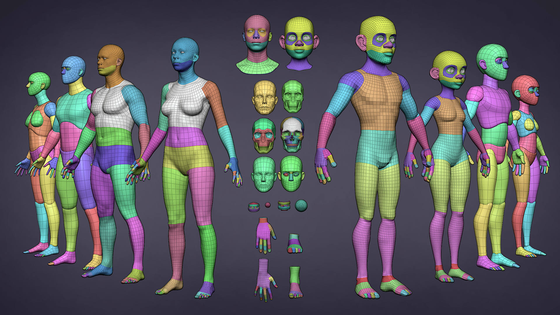 Human Base Meshes v1.1